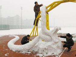 新闻爆料巨蟒,神秘生物引发广泛关注