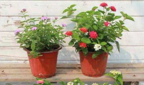 南康爆料重大事故视频最新,视频揭露惊人真相 第3张 南康爆料重大事故视频最新,视频揭露惊人真相 第3张